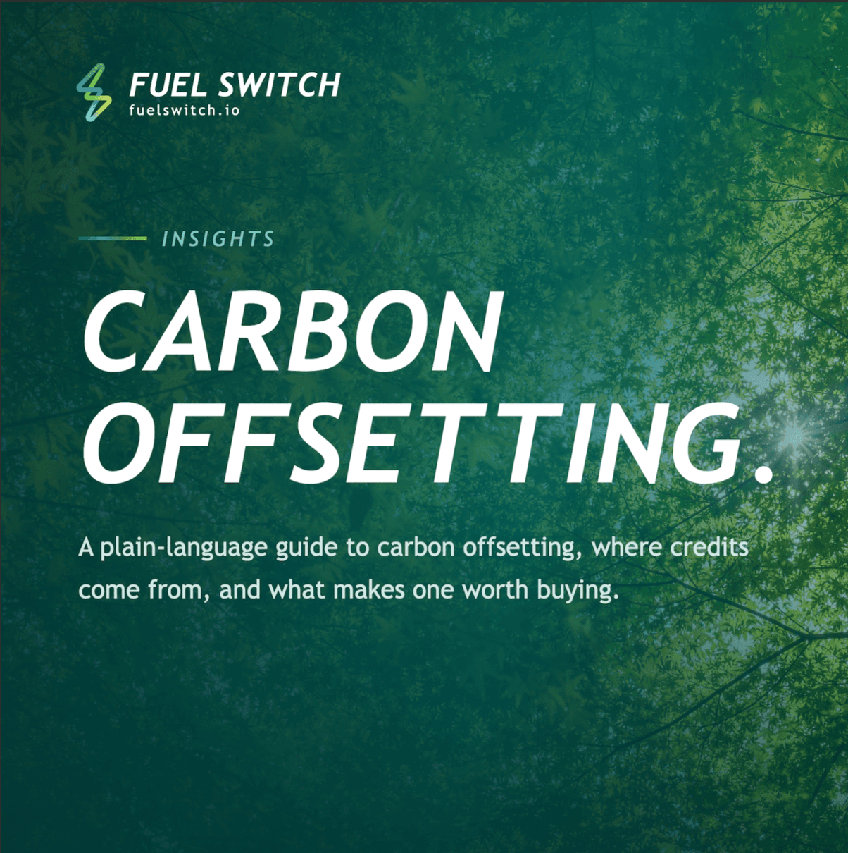 Carbon Offsetting for South African Businesses: How to Offset, Report and Stay Compliant